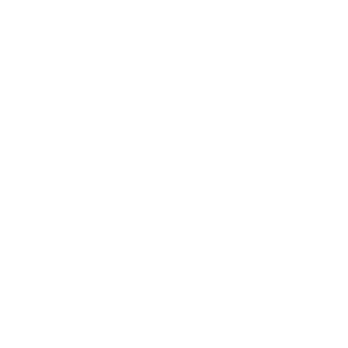 Youth Development